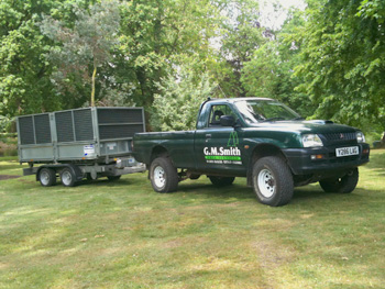 Tree Surgeon